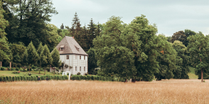 Entdecken Sie Weimar